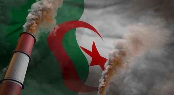 Part de marché en Algérie 50% 